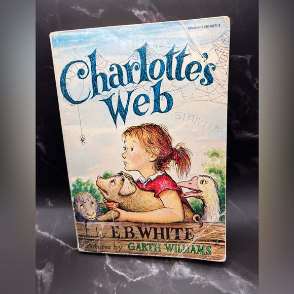 Other - Charlotte's Web by E.B White paperback